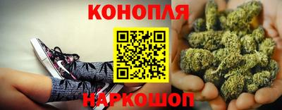 a pvp Ачхой-Мартан