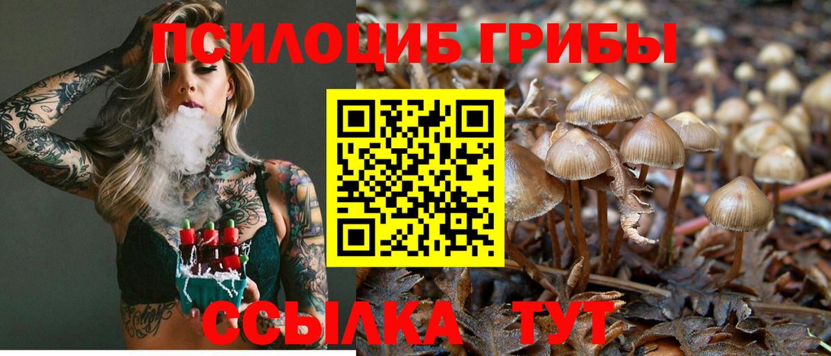 Большой Камень  Галлюциногенные грибы Cubensis  Вход с VPN  Галлюциногенные грибы GOLDEN TEACHER 